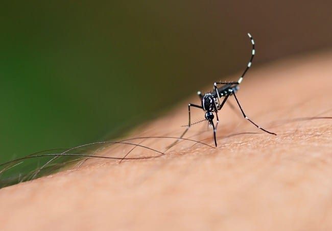 Macam-macam Penyakit Endemik di Indonesia - Alodokter