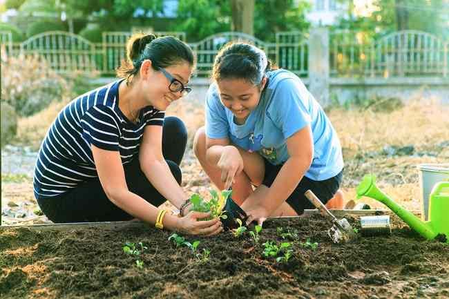 Manfaat Berkebun dan Memelihara Tanaman bagi Kesehatan - Alodokter