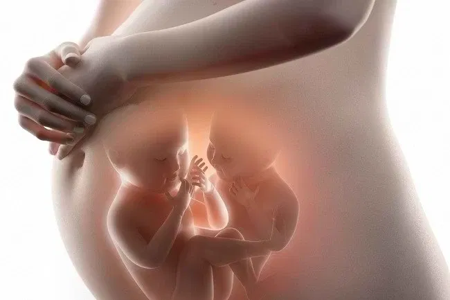 7 Tips Hamil Bayi Kembar yang Perlu Dipahami Calon Ibu