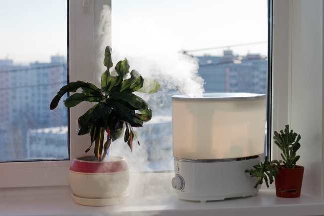 Ketahui Manfaat Humidifier untuk Kesehatan - Alodokter