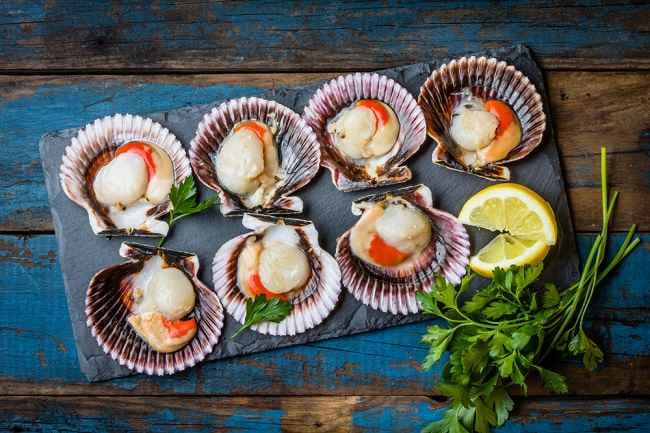 Scallop: Kandungan Gizi, Manfaat, dan Cara Memasaknya - Alodokter