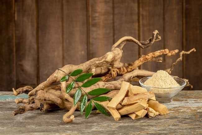 6 Manfaat Pasak Bumi yang Perlu Diketahui - Alodokter