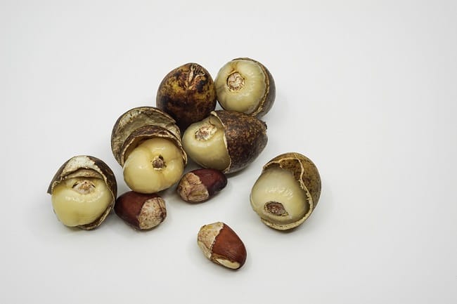 4 Manfaat Buah Matoa yang Perlu Diketahui - Alodokter