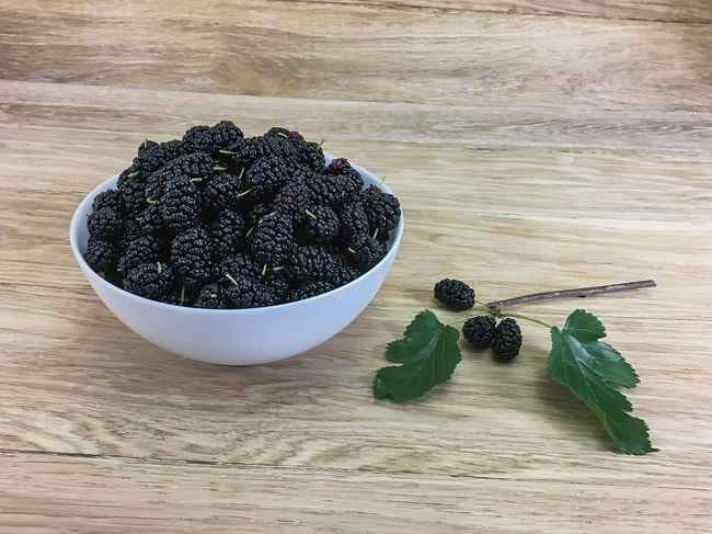 6 Manfaat Buah Murbei untuk Kesehatan - Alodokter