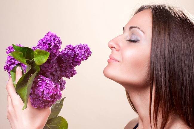 Mengintip Anatomi Hidung Manusia - Alodokter