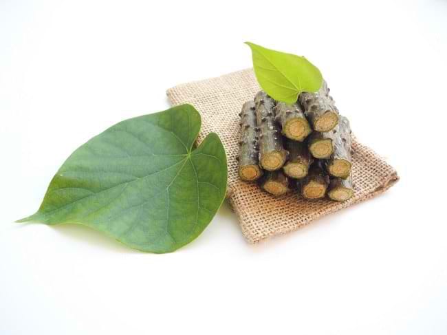 8 Manfaat Brotowali bagi Kesehatan, dari Mengatasi Demam hingga Diabetes - Alodokter