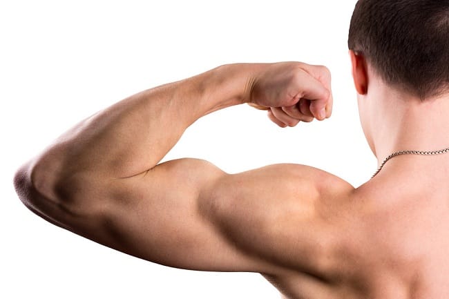 Memahami Sistem Otot dan Fungsinya Bagi Tubuh - Alodokter