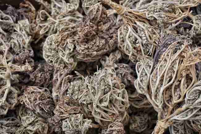 Rumput Fatimah Bisa Melancarkan Persalinan? Ini Faktanya - Alodokter