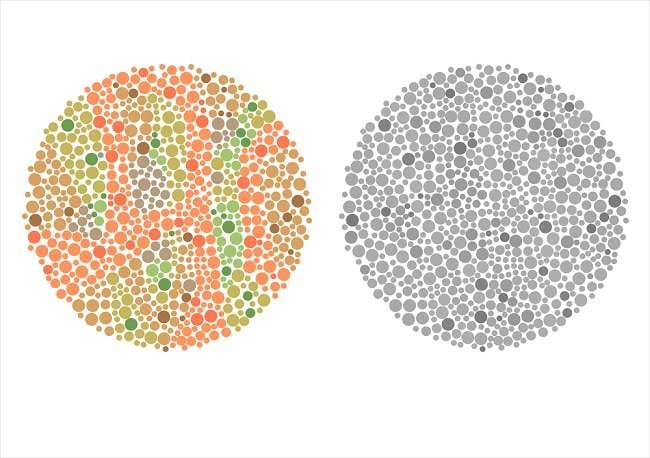 Yuk Kenali Berbagai Jenis Tes Buta Warna - Alodokter