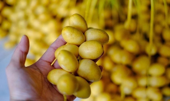 Benarkah Kurma Muda Bisa Meningkatkan Kesuburan Wanita? - Alodokter