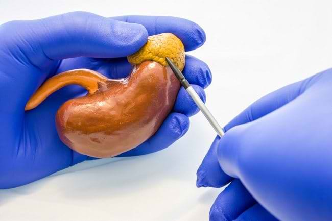 Kelenjar Adrenal, Si Kecil dengan Fungsi Besar - Alodokter