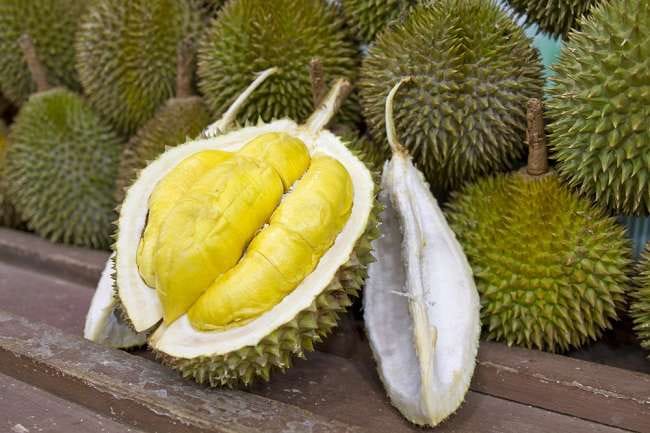 6 Manfaat Durian bagi Kesehatan yang Sayang Dilewatkan - Alodokter
