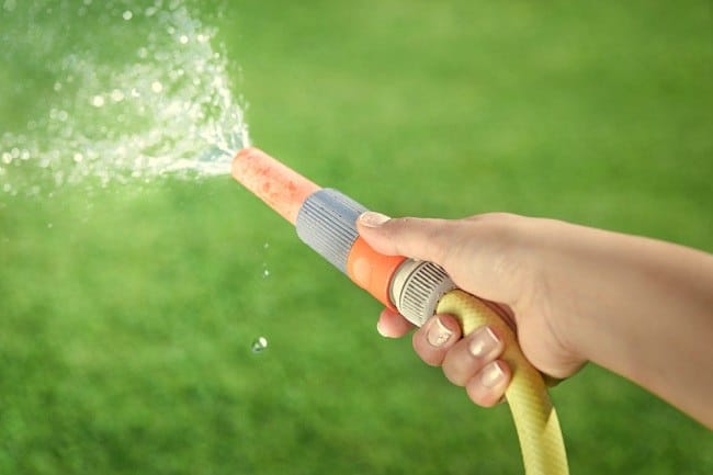 Mitos dan Fakta tentang Efek Menelan Sperma - Alodokter