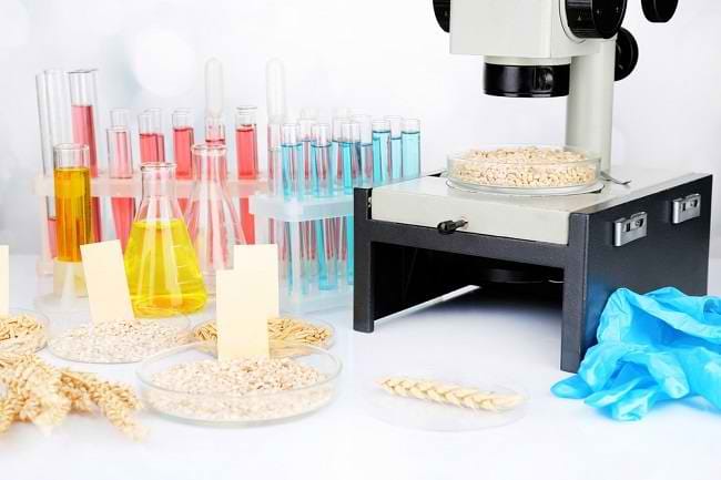 Mengenal Enzim Pepsin, Zat Penting Dalam Sistem Metabolisme Tubuh - Alodokter