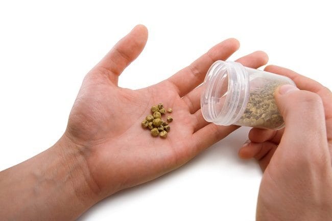 4 Macam Obat Penghancur Batu Ginjal yang Dapat Diresepkan Dokter - Alodokter