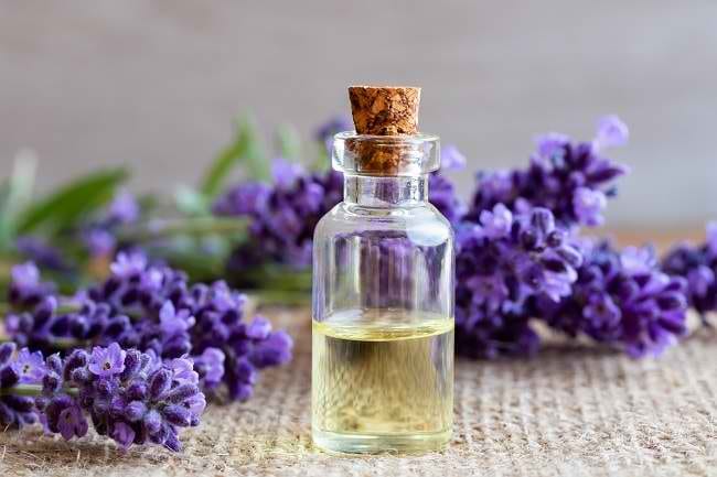 Menilik Khasiat Minyak Lavender untuk Kesehatan - Alodokter