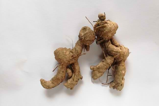 4 Manfaat Temu Ireng untuk Kesehatan - Alodokter