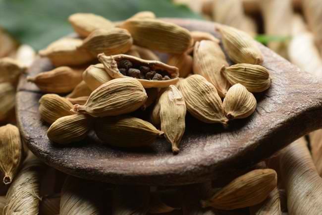 9 Manfaat Kapulaga, Tingkatkan Daya Tahan Tubuh hingga Cegah Penyakit Jantung - Alodokter