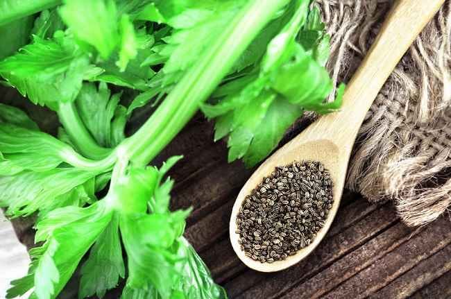 5 Manfaat Biji Seledri untuk Kesehatan - Alodokter