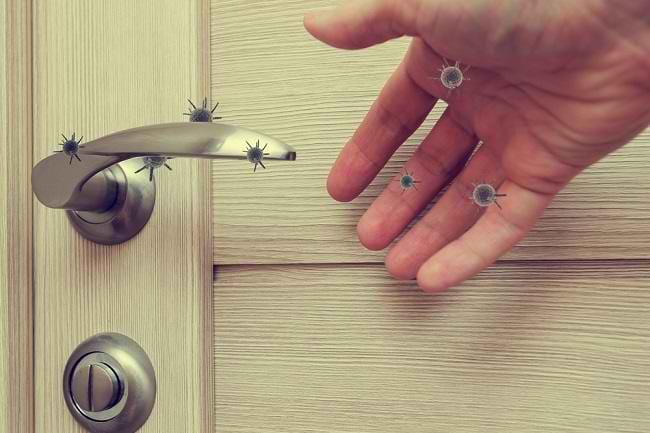 Beragam Agen Penyebar Kuman yang Perlu Diwaspadai - Alodokter