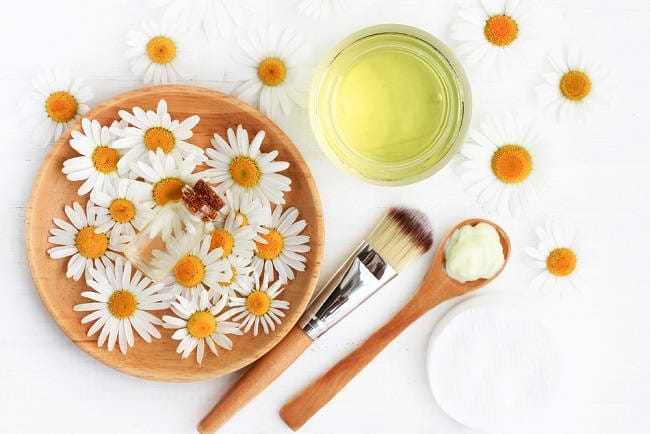 4 Manfaat Chamomile untuk Wajah - Alodokter