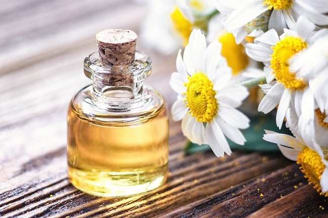 Yuk, Ketahui Manfaat Minyak Chamomile untuk Kesehatan - Alodokter