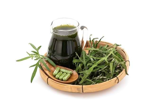 Inilah 4 Manfaat Artemisia Annua untuk Kesehatan - Alodokter