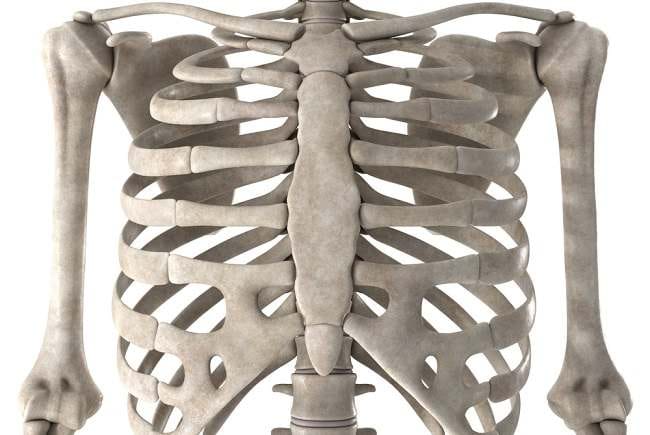 6 Fungsi Tulang Atas dan Gangguan yang Dapat Terjadi - Alodokter