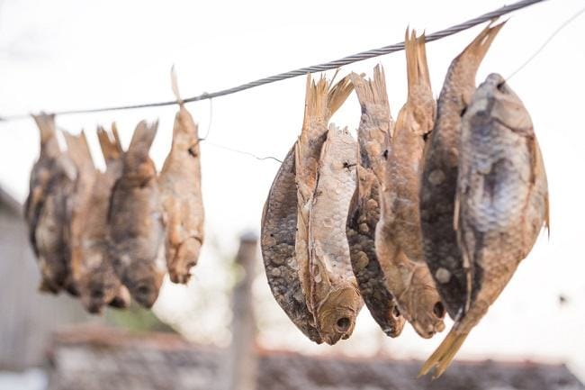Bolehkah Ibu Hamil Makan Ikan Asin? - Alodokter