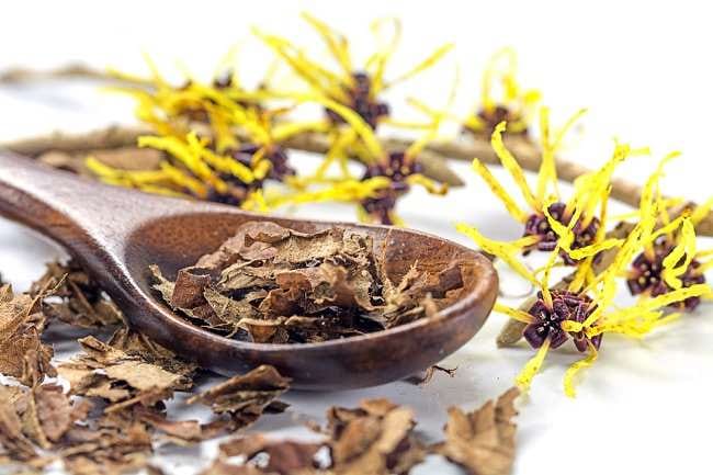 Witch Hazel, Mengenal 5 Manfaatnya untuk Kesehatan - Alodokter