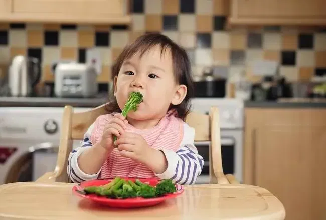 Sajikan makanan dalam porsi kecil dengan variasi warna untuk menarik minat anak