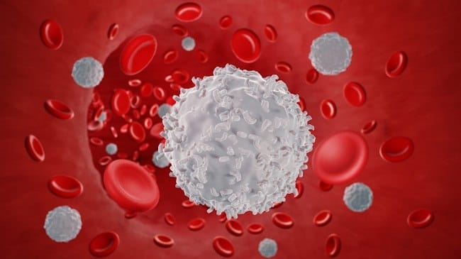 Jumlah Leukosit Normal dan Tidak Normal serta Cara Menjaganya - Alodokter