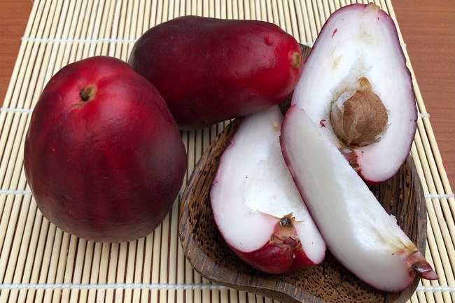 Jambu Jamaika, Ketahui 8 Manfaatnya untuk Kesehatan Tubuh - Alodokter