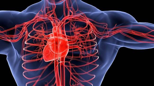 Arteritis Takayasu - Alodokter
