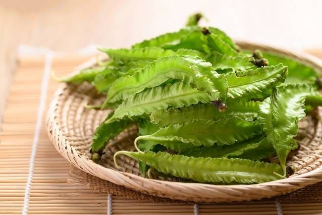 9 Manfaat Kecipir untuk Kesehatan yang Jarang Diketahui - Alodokter