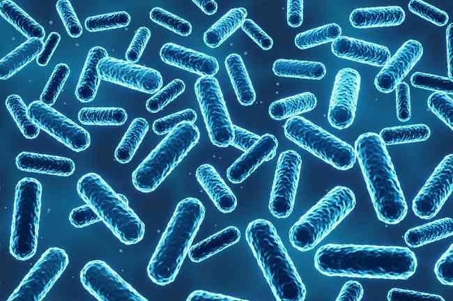 10 Jenis Bakteri Baik bagi Tubuh Beserta Sumbernya - Alodokter