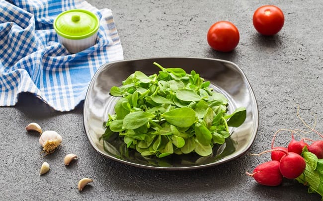 Manfaat Krokot, Bisa Menjaga Kesehatan Mata sampai Mencegah Stroke - Alodokter