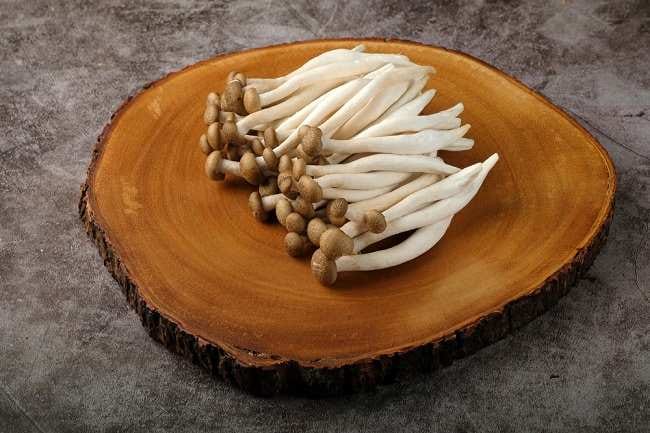 Jamur Shimeji, Ketahui 6 Manfaat dan Resep Olahannya yang Lezat - Alodokter