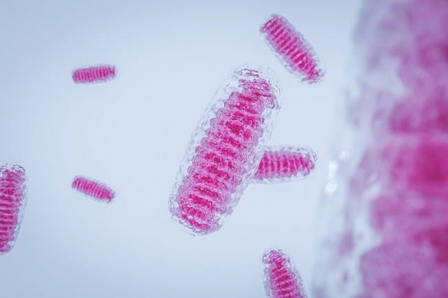 4 Fungsi Mitokondria dan Gangguan yang Menyertainya - Alodokter