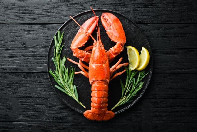 Lobster, Ini Kandungan Nutrisi serta Manfaatnya - Alodokter