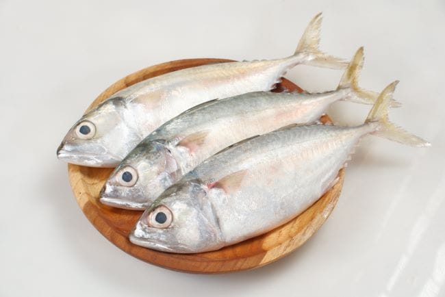 Ikan Kembung, Ketahui Kandungan Gizi, Manfaat, dan Cara Mengolahnya - Alodokter