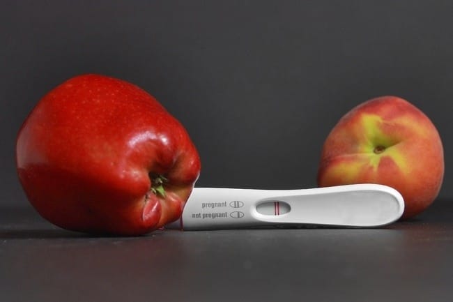 10 Makanan agar Cepat Hamil Sekaligus Penyubur Kandungan - Alodokter