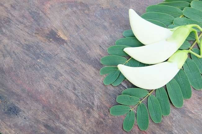 Kembang Turi, Ketahui 9 Manfaatnya bagi Kesehatan - Alodokter