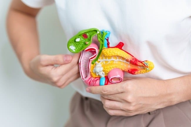 Enzim Pankreas, Ketahui Jenis dan Fungsinya - Alodokter