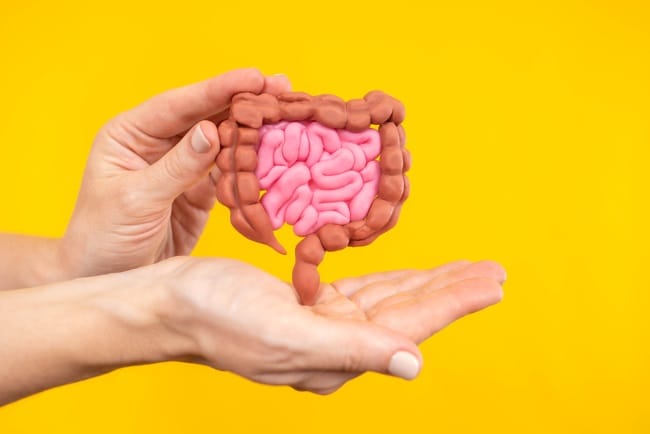 7 Cara Membersihkan Usus Kotor yang Mudah Dilakukan - Alodokter