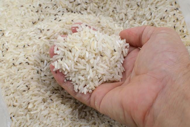 6 Cara Mengusir Kutu Beras yang Mudah Dilakukan - Alodokter