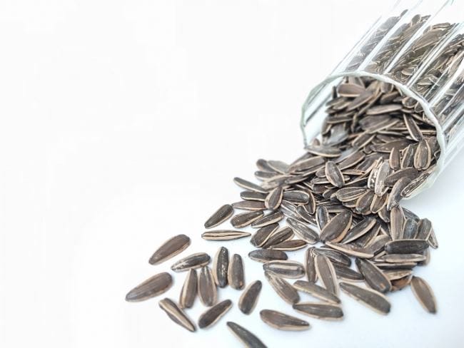 Kuaci, Ketahui Kandungan Nutrisi dan Manfaatnya bagi Kesehatan - Alodokter