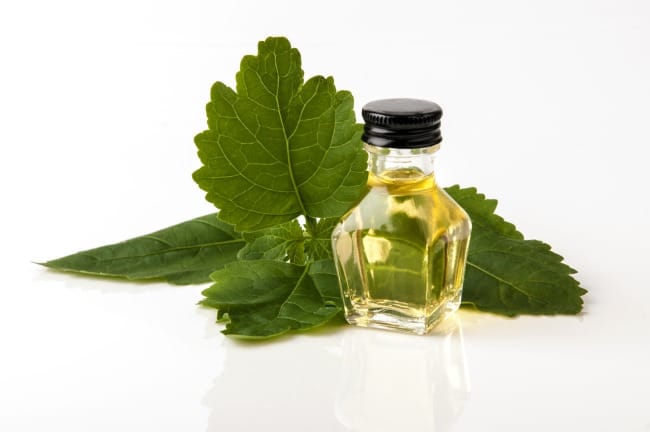 Minyak Nilam, Inilah 6 Manfaatnya bagi Kesehatan Fisik dan Mental - Alodokter