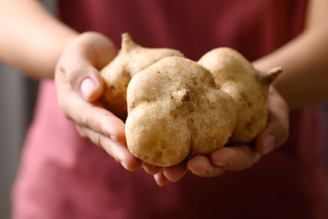 Manfaat Bengkoang untuk Wanita, Bisa Mencegah Anemia sampai Mengencangkan Kulit - Alodokter