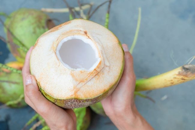 Bolehkah Ibu Hamil 2 Bulan Minum Air Kelapa Muda? Ini Jawabannya - Alodokter